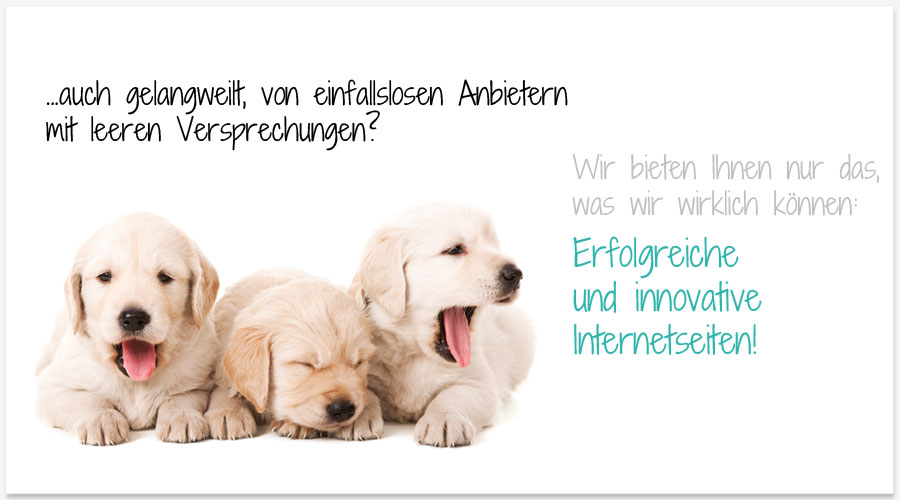 Innovative Ideen und professionelle Web2.0 Content Management Lösungen